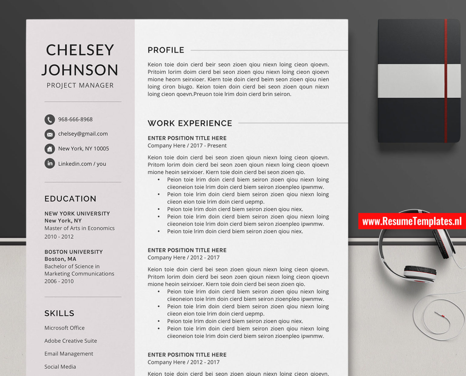 free downloadable cv templates microsoft word without picture